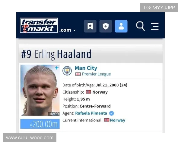 德转更新聚焦英超最新身价前十榜深度解析 德转更新聚焦英超最新身价前十榜深度解析